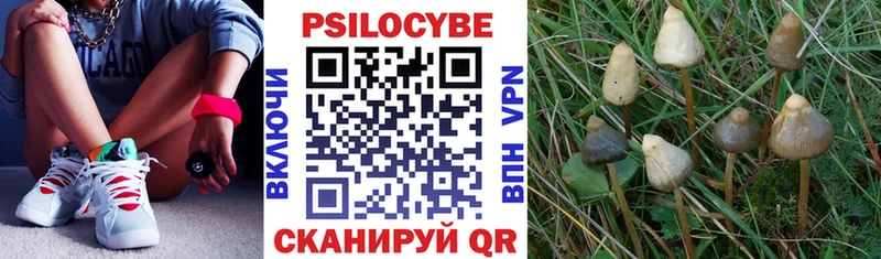 Галлюциногенные грибы Psilocybine cubensis  как найти наркотики  blacksprut онион  Дмитриев 